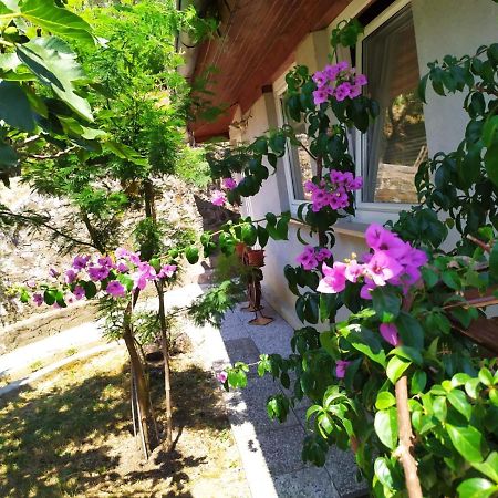 Ferienwohnung Lili House Portorož Exterior foto